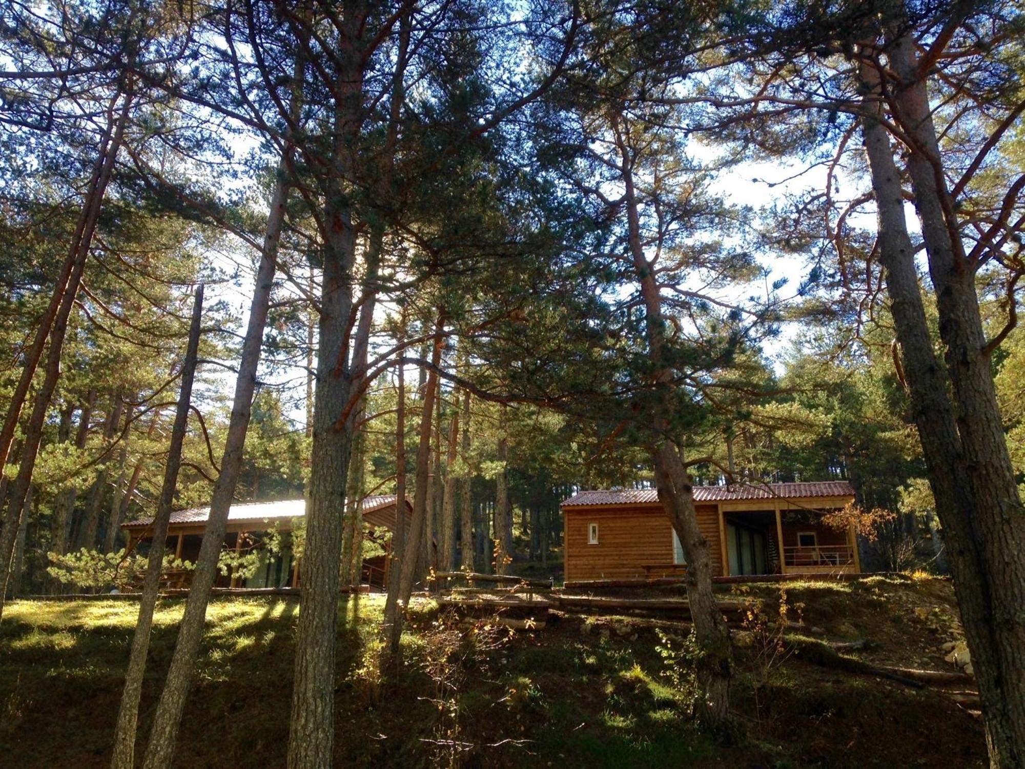 La Pinatelle Campsite Saint-Auban (Alpes-Maritimes)